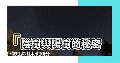 陰樹陽樹